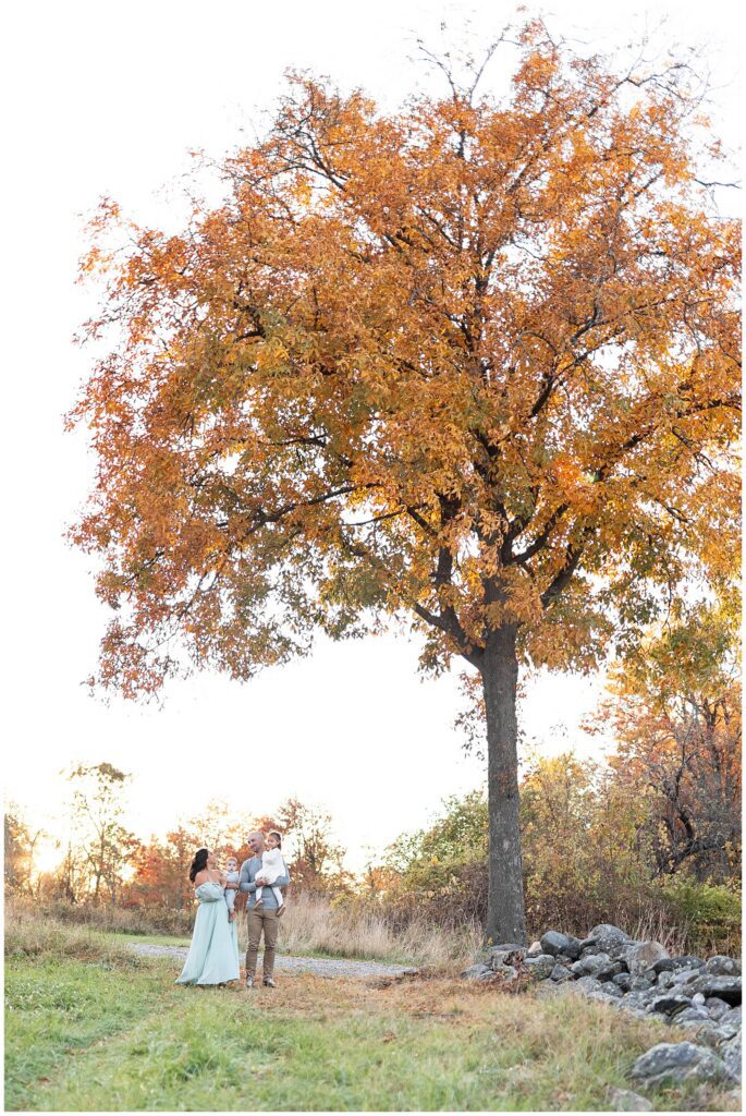 Gorgeous family photos in fall, Fairfield County CT