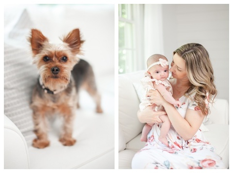 Stamford, CT In-Home Newborn Photographer