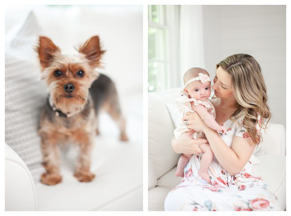 Dog included in lifestyle newborn portraits in Stamford CT home of Fairfield County CT by Forty Seven Moments Photography