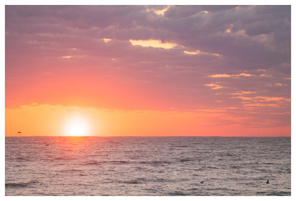 2021-05-06_0031.jpg 2021-05-06_0031.jpg