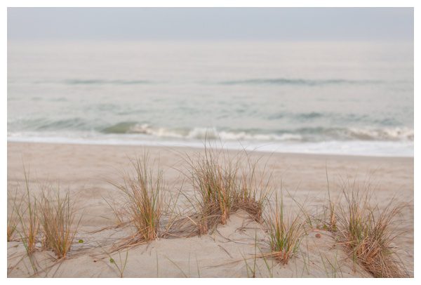 2021-05-06_0049.jpg 2021-05-06_0049.jpg