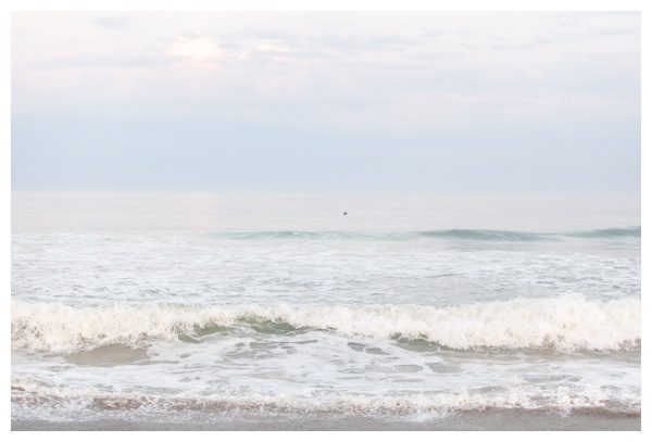 2021-05-06_0053.jpg 2021-05-06_0053.jpg