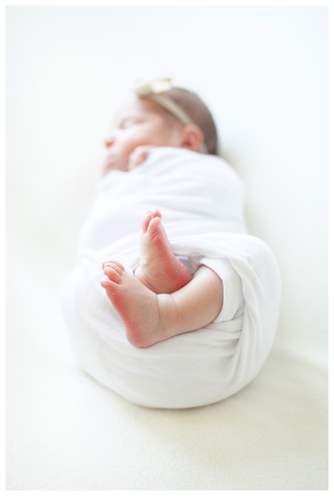 CT Studio Newborn Portraits - baby swaddled 